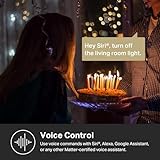 Kasa Matter Smart Light Switch: Voice Control w/Siri, Alexa & Google Assistant | UL Certified | Timer & Schedule | Easy Guided Install | Neutral Wire Required | Single Pole | 2.4GHz Wi-Fi | KS205 - Thumbnail 4