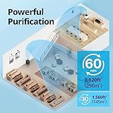 Coway Airmega 400S(G) App-Enabled Smart Technology Compatible with Amazon Alexa True HEPA Air Purifier, Covers 1,560 sq. ft, Graphite - Thumbnail 3