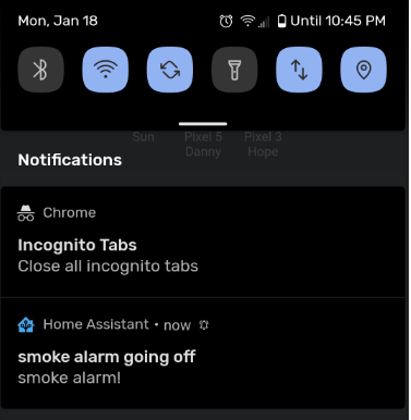 Image 7 from How To Add Ecolink Wireless Audio Detector to Home Assistant