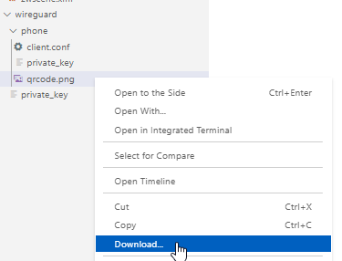 Image 13 from How to install WireGuard VPN Addon in Home Assistant with custom domain name