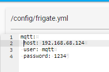 Image 9 from How To Install Frigate in Home Assistant for Object Detection (pt1)