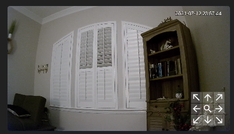 Image 26 from How To Install Frigate in Home Assistant for Object Detection (pt1)