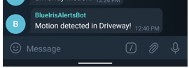 Image 17 from How To Send Blue Iris Images to Telegram