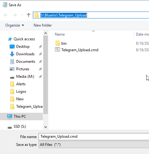 Image 26 from How To Send Blue Iris Images to Telegram