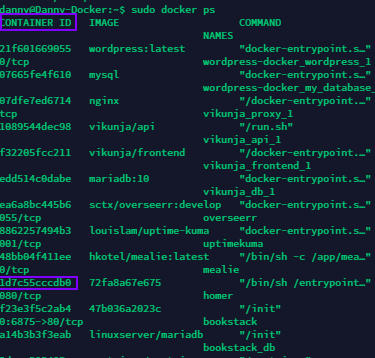 Image 4 from How To Update Docker Container to Latest Version