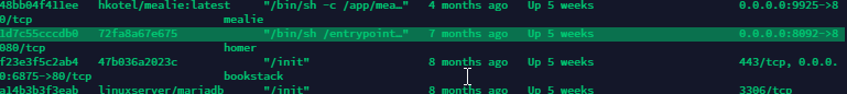 How To Update Docker Container to Latest Version